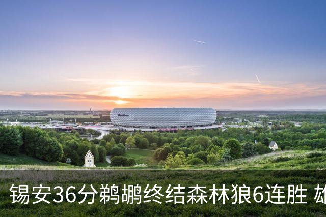 锡安36分鹈鹕终结森林狼6连胜 雄鹿险胜公牛