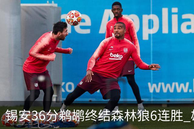 锡安36分鹈鹕终结森林狼6连胜 雄鹿险胜公牛